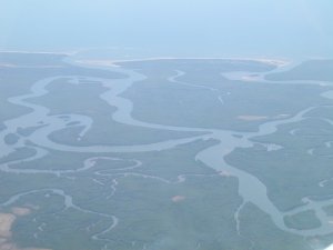 L’ampio delta del fiume Ruvuma colonizzato da estese foreste di mangrovie