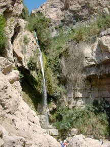 Cascata di David (Riserva naturale di Ein Gedi)