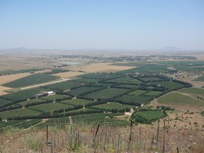 Confine Siria-Israele e la vecchia città di Qunetra (alture del Golan)