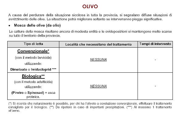 Bollettino ASSAM: particolari sul trattamenti dell'olivo