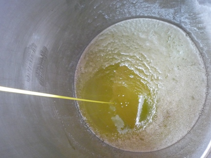 Olio extravergine di oliva appena prodotto